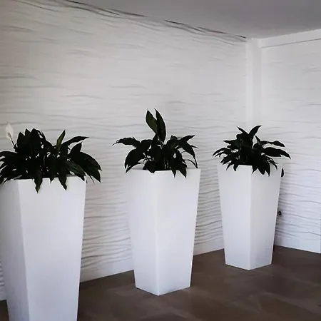 Miramar 2** Superior 2* ألانثاذا