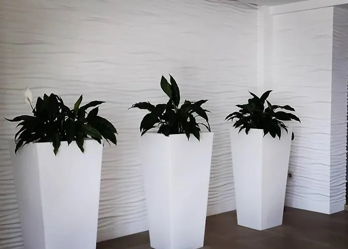 Miramar 2** Superior 2* Playa de la Lanzada